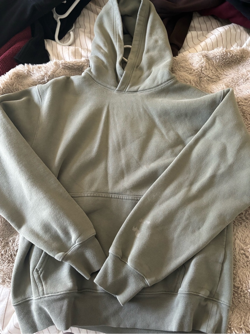Aritzia Perfect Hoodie